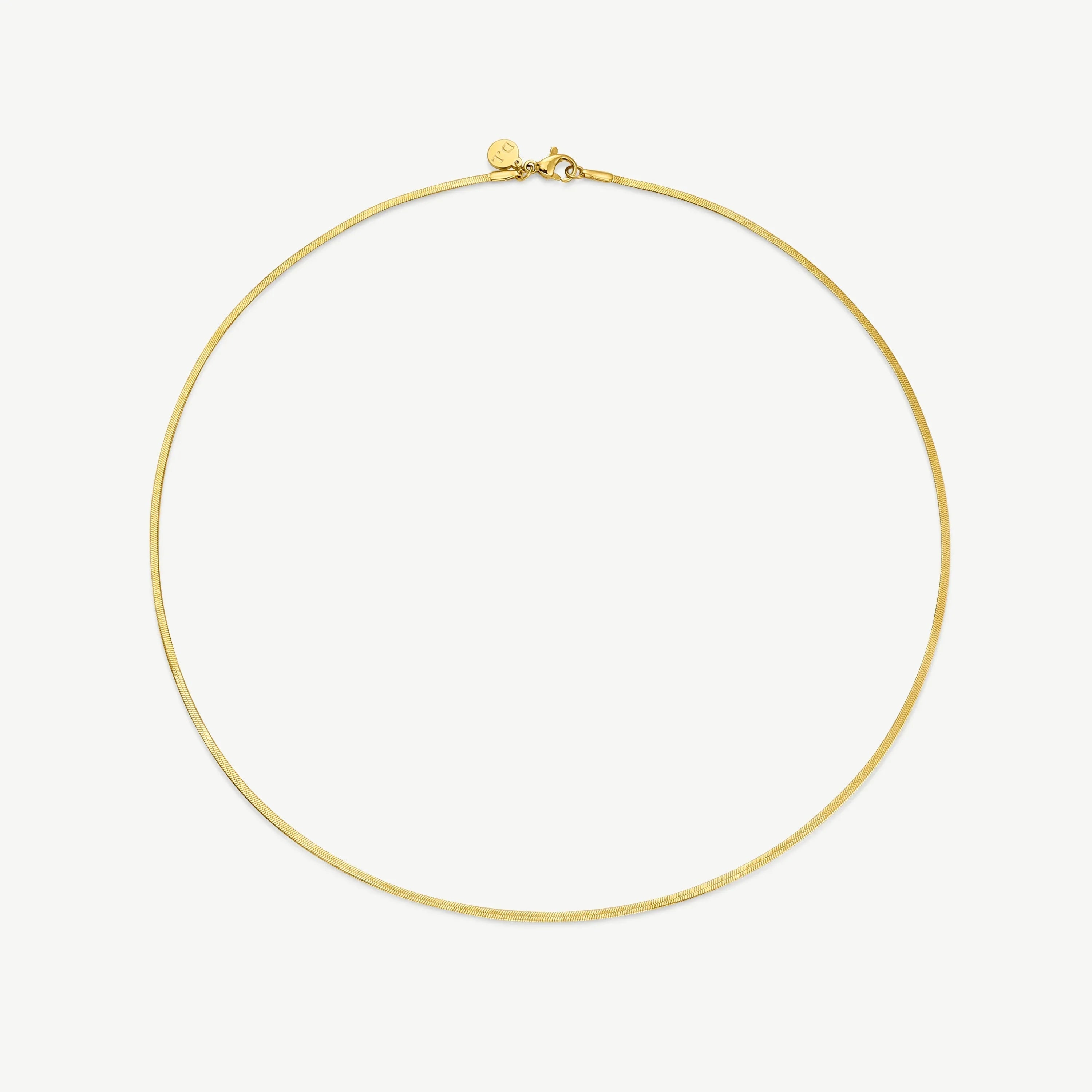 Simple elegant gold snake chain necklace with lobster clasp on white background