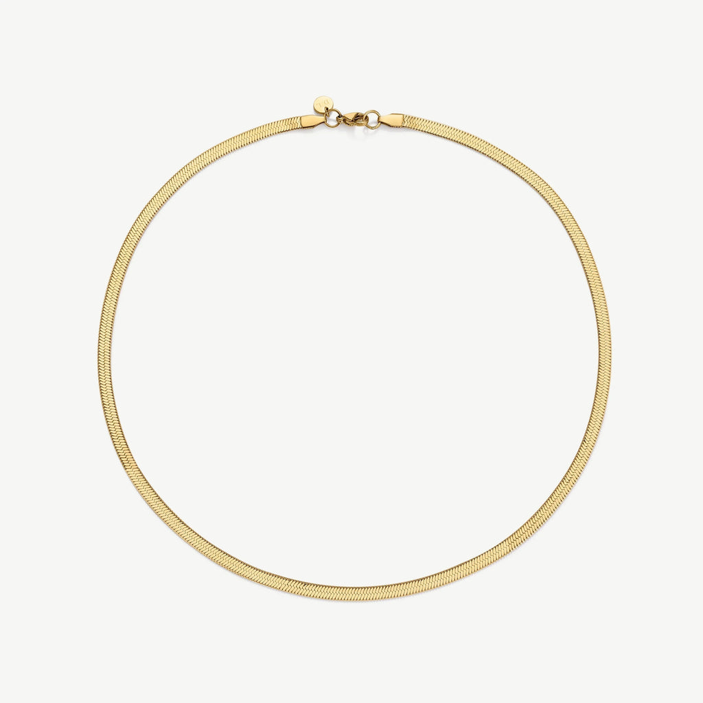 Simple elegant gold snake chain necklace with lobster clasp on white background