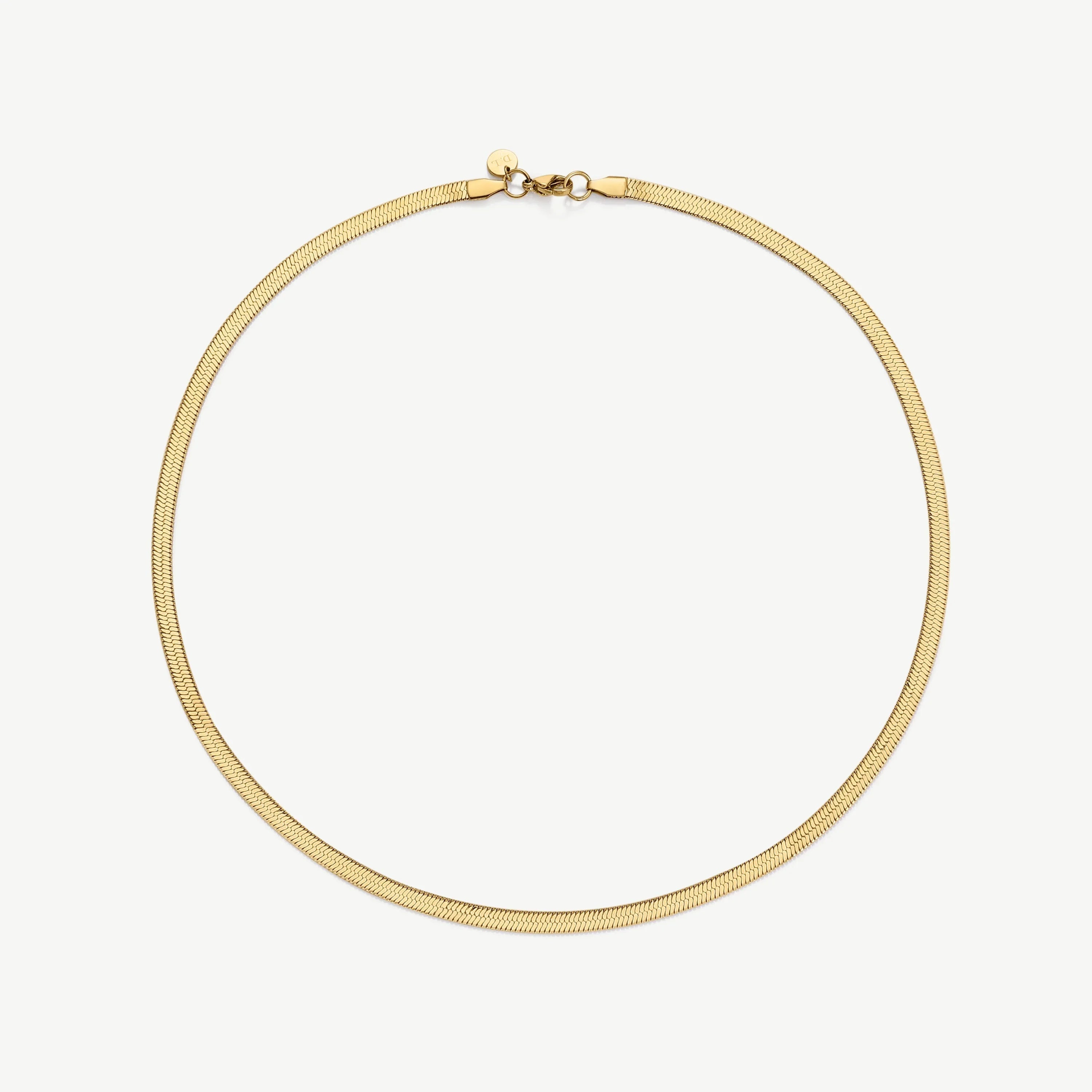 Simple elegant gold snake chain necklace with lobster clasp on white background